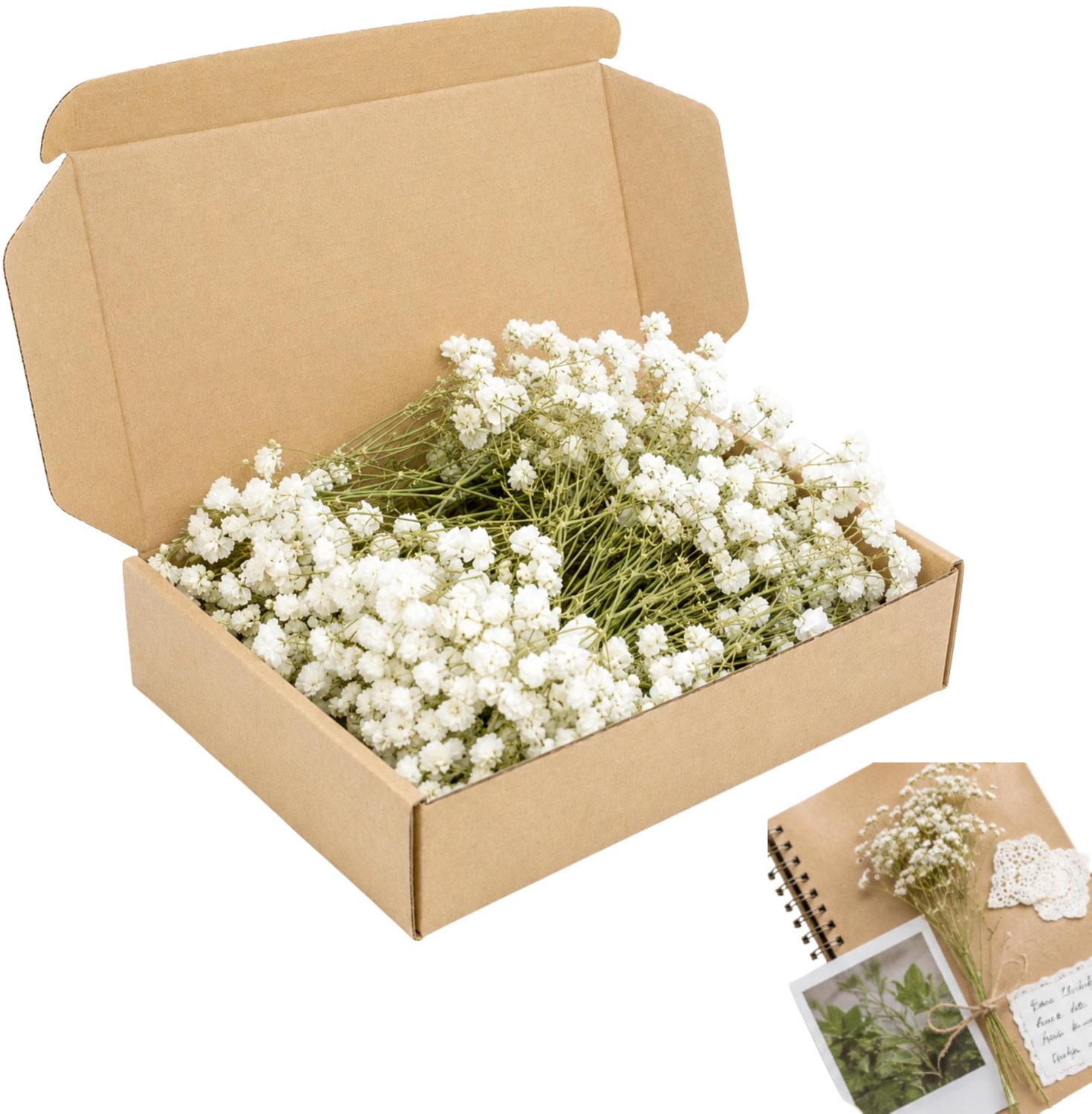 Famanu Witte gedroogde gipskruid bloemen set van 120 stuks voor sieraden en decoraties