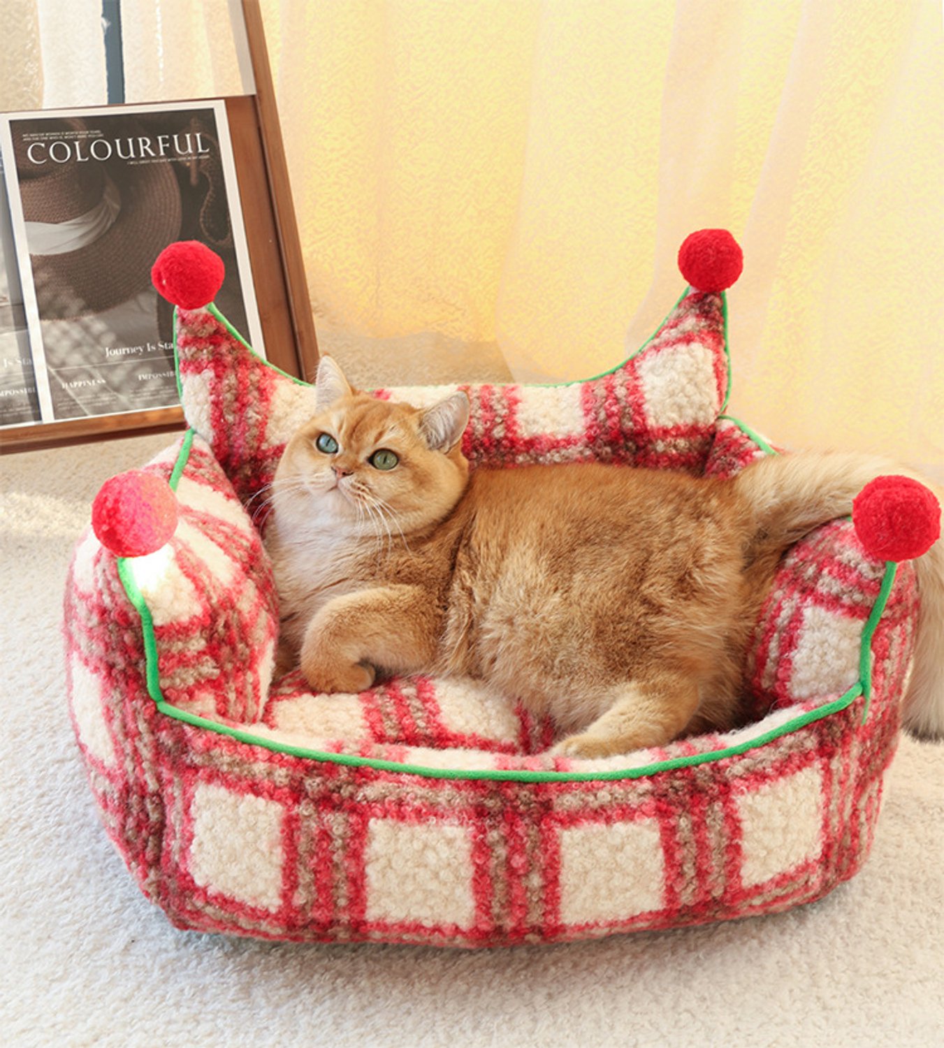 Hondenbed en Kattenmand – Zachte Pluche Huisdierenbank met Verhoogde Randen – Dik Gevuld met PP-Katoen – Comfortabele Slaap- en Rustplek voor Honden en Katten – 60 × 50 × 40 cm – 1 Stuk
