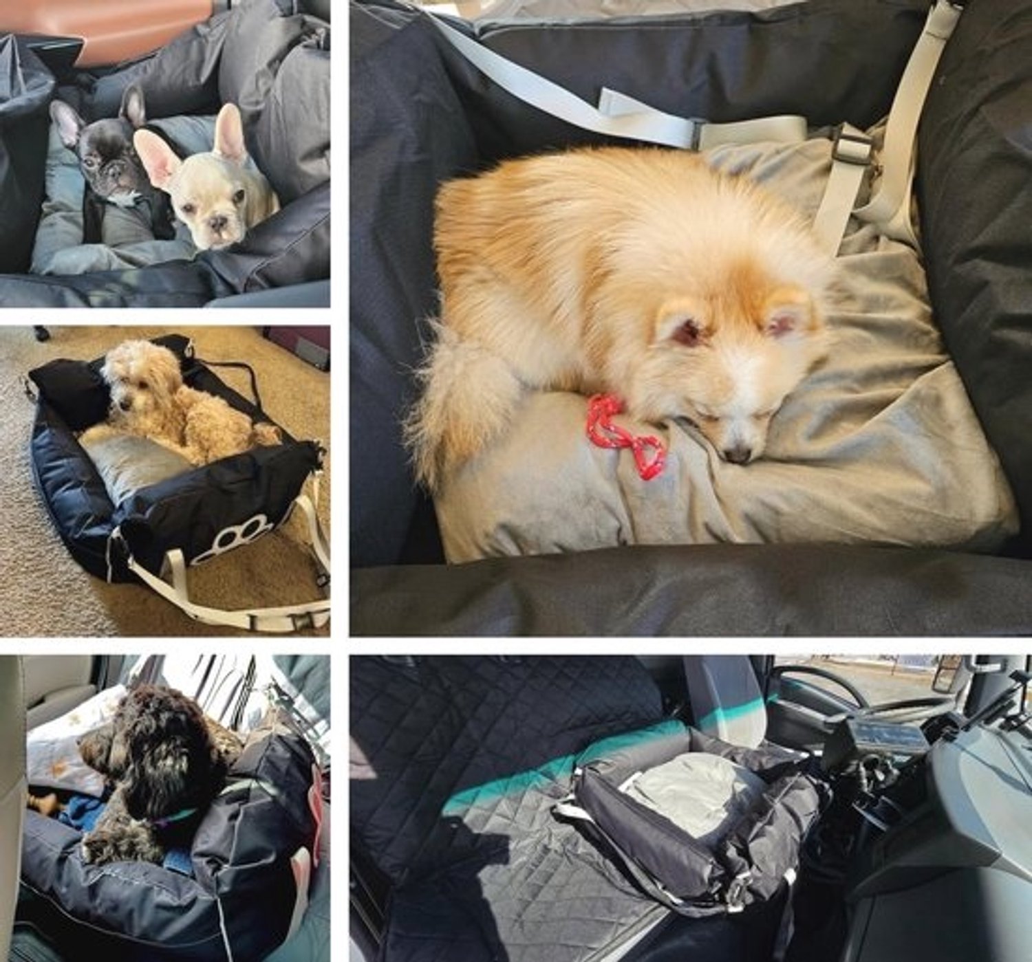 Autostoel voor kleine en middelgrote honden met een gewicht tot 25 kg - Veilige autostoel voor honden die ook als hondenbed dient