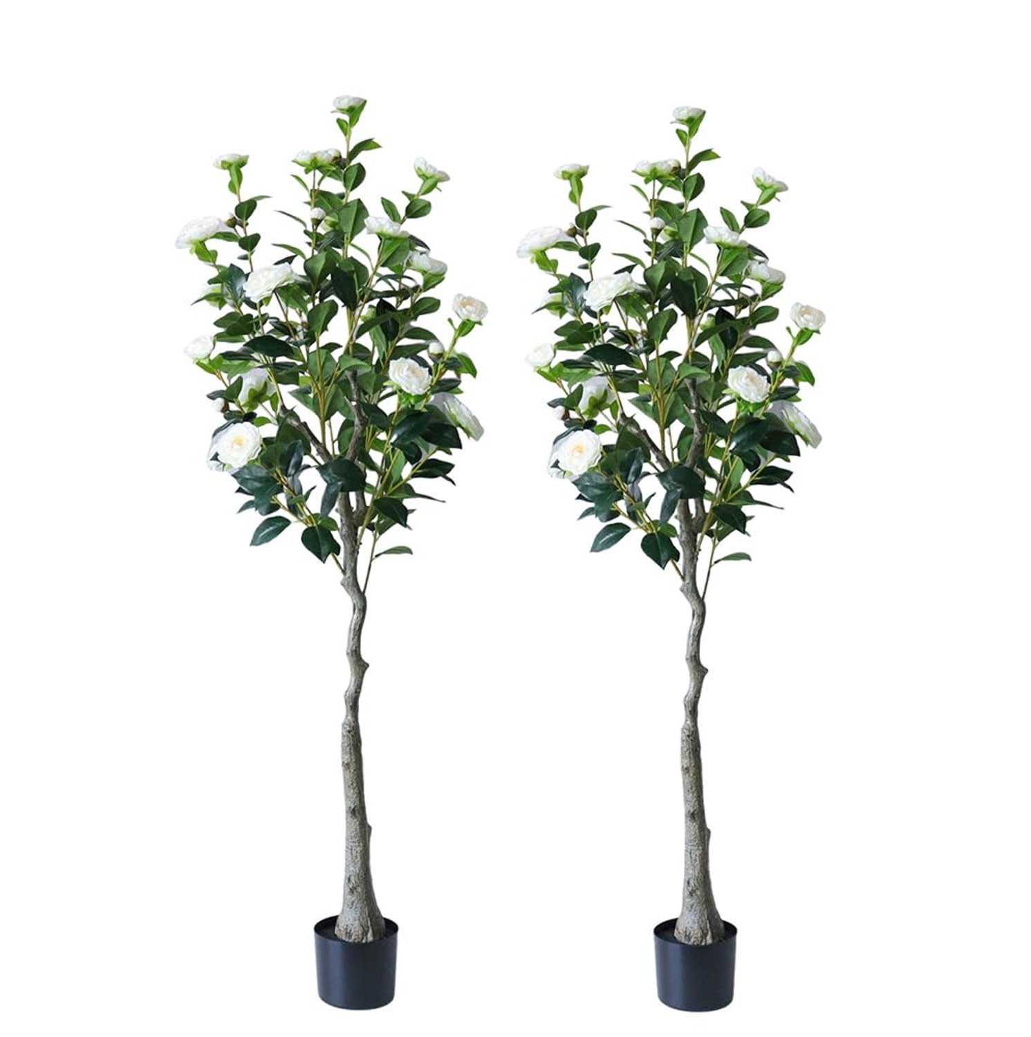 Kunst Camelia Bomen (Set van 2) - 150 cm Hoog met Witte Bloemen - Inclusief Verzwaarde Pot - Onderhoudsvrij voor Binnen & Kantoor