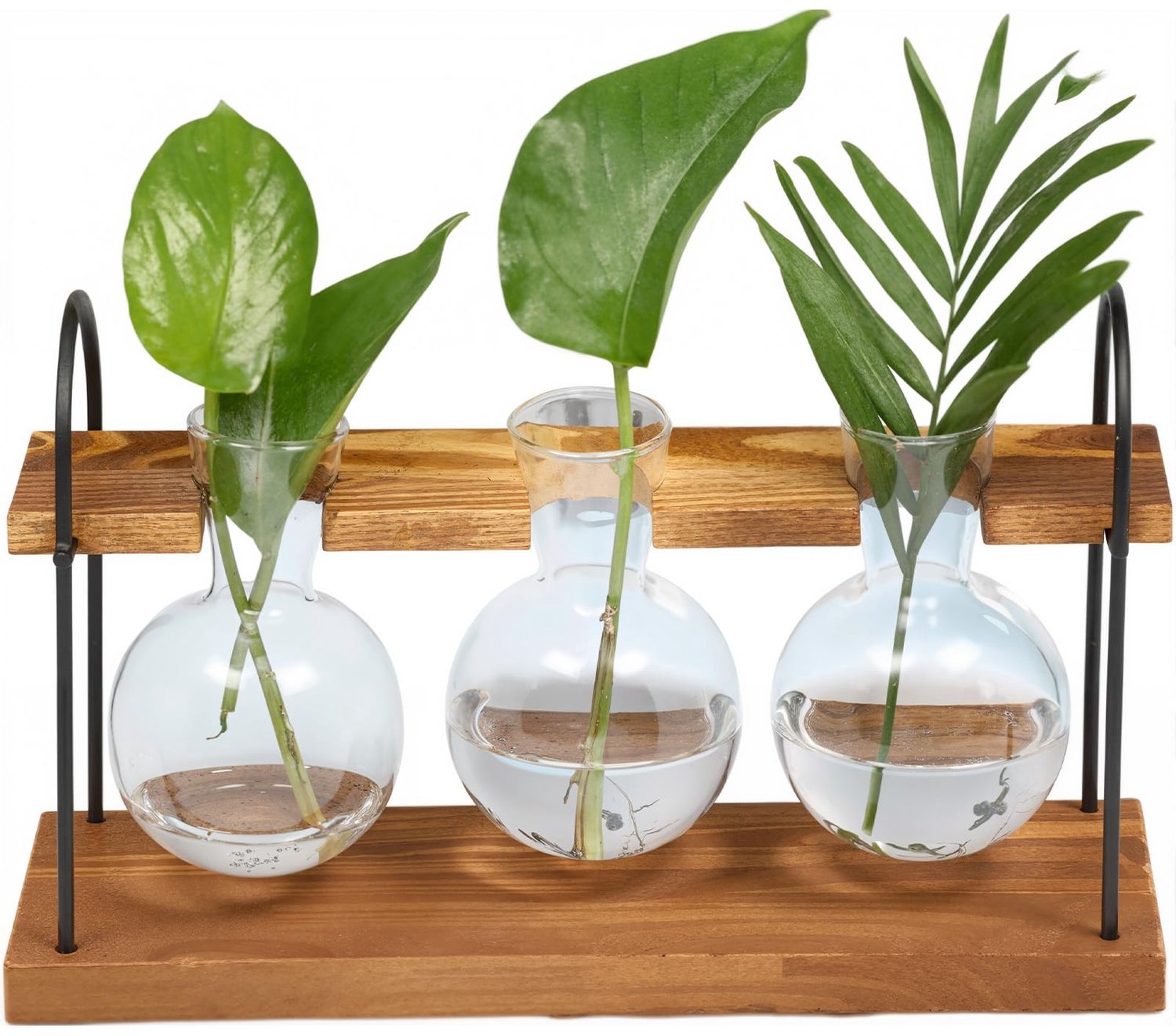 Reageerbuisstandaard voor Hydrocultuurplanten met Houten Frame