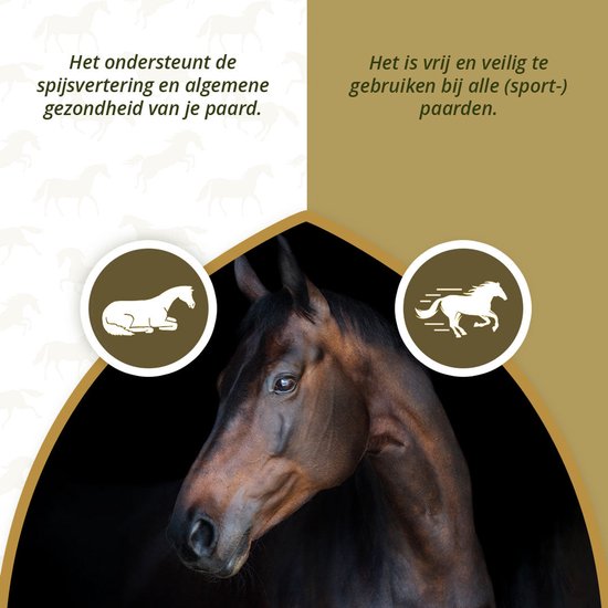 Excellent Horse PureFree – 1 kg – Natuurlijk Voedingssupplement voor Paarden