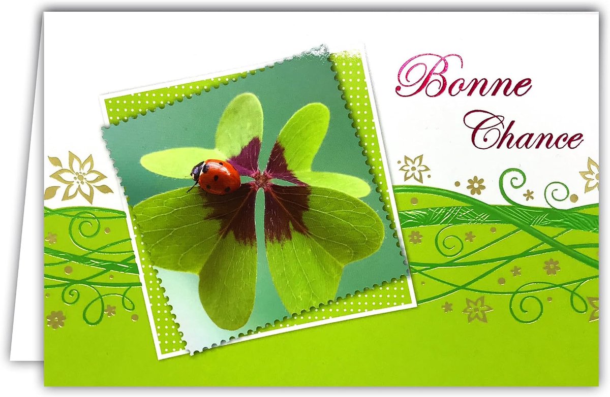 Gelukskever Gelukskever succes 4-bladig klaverblad lieveheersbeestje bloemen goud volume groen glanzend binnen bedrukt envelopformaat 12 x 17,5 cm gemaakt in Europa 15-6170