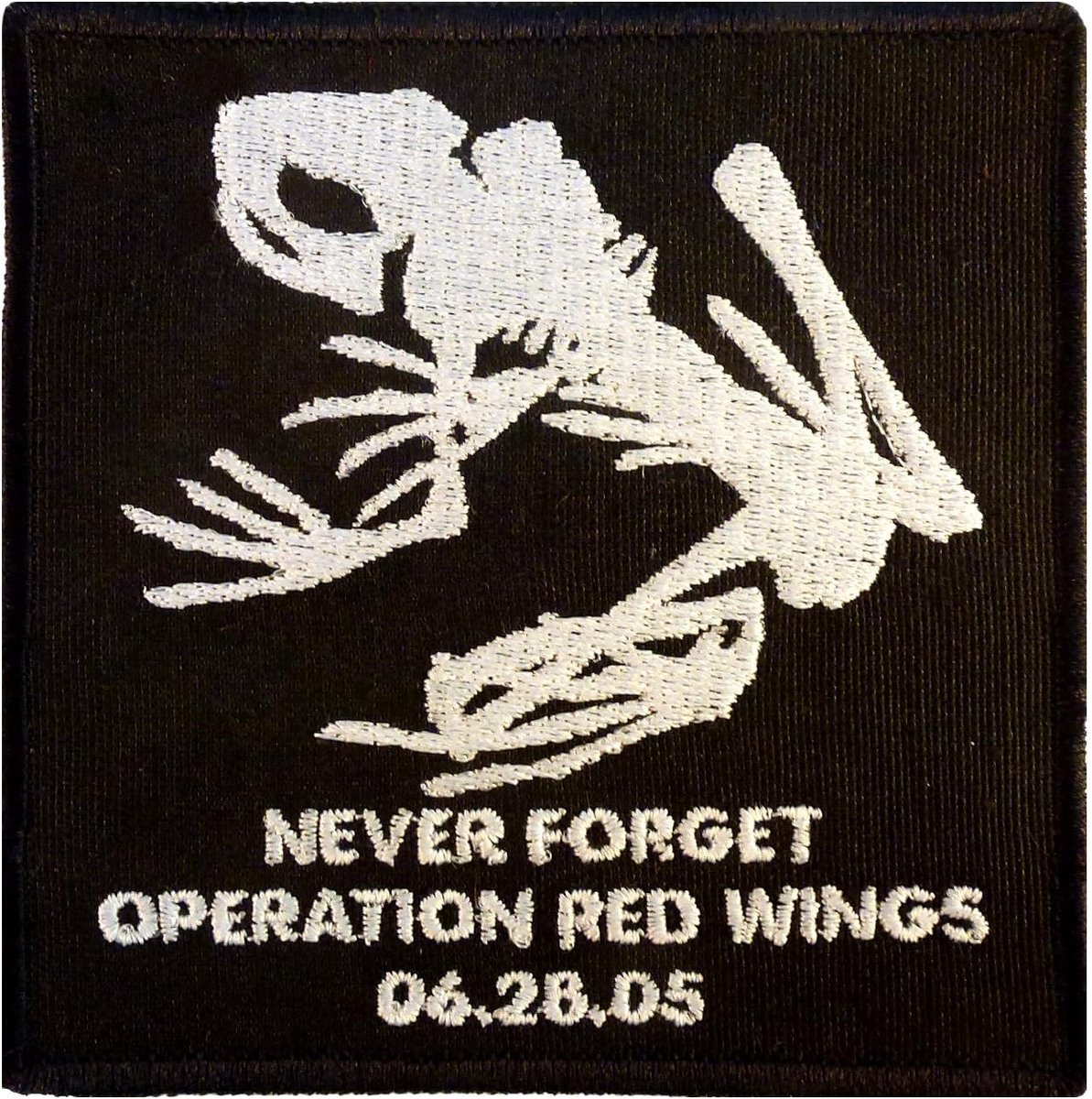 Seals devgru Red Wings Never Forget Lone Survivor SDVT-1A Skull Frog seals devgru Haak Patch