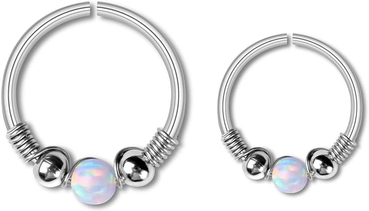 2 Stuks Neusring Set Septum Ring Hoop Clicker Faux Piercing