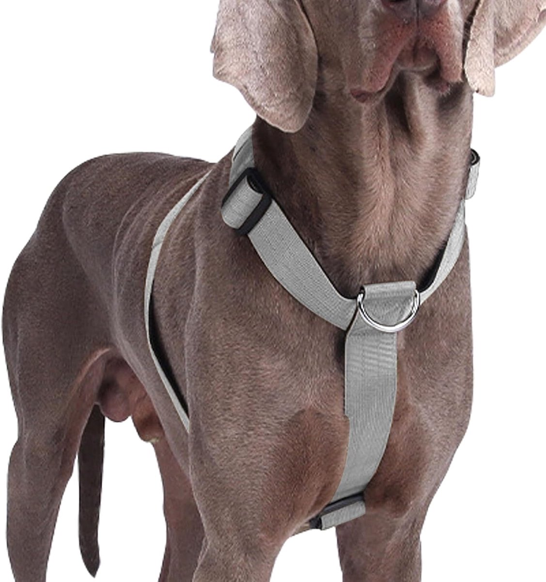 Hondentuigje voor middelgrote honden, tactisch hondentuig, onbreekbaar, gevoerd anti-trekborstharnas, zacht, verstelbaar hondenharnas voor honden, dagelijks gebruik en training, grijs, XL