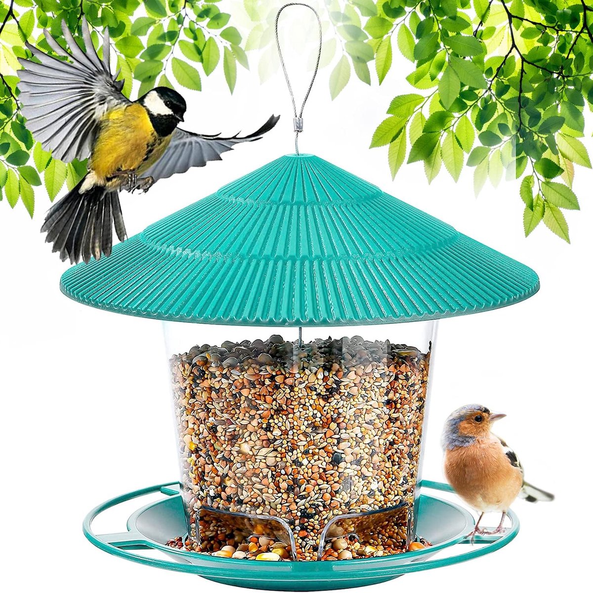 Wilde vogelvoederstations, vogelvoer om op te hangen, vogelvoer voor wilde vogels, blauw van Dunnocks mussen, roodborstjes