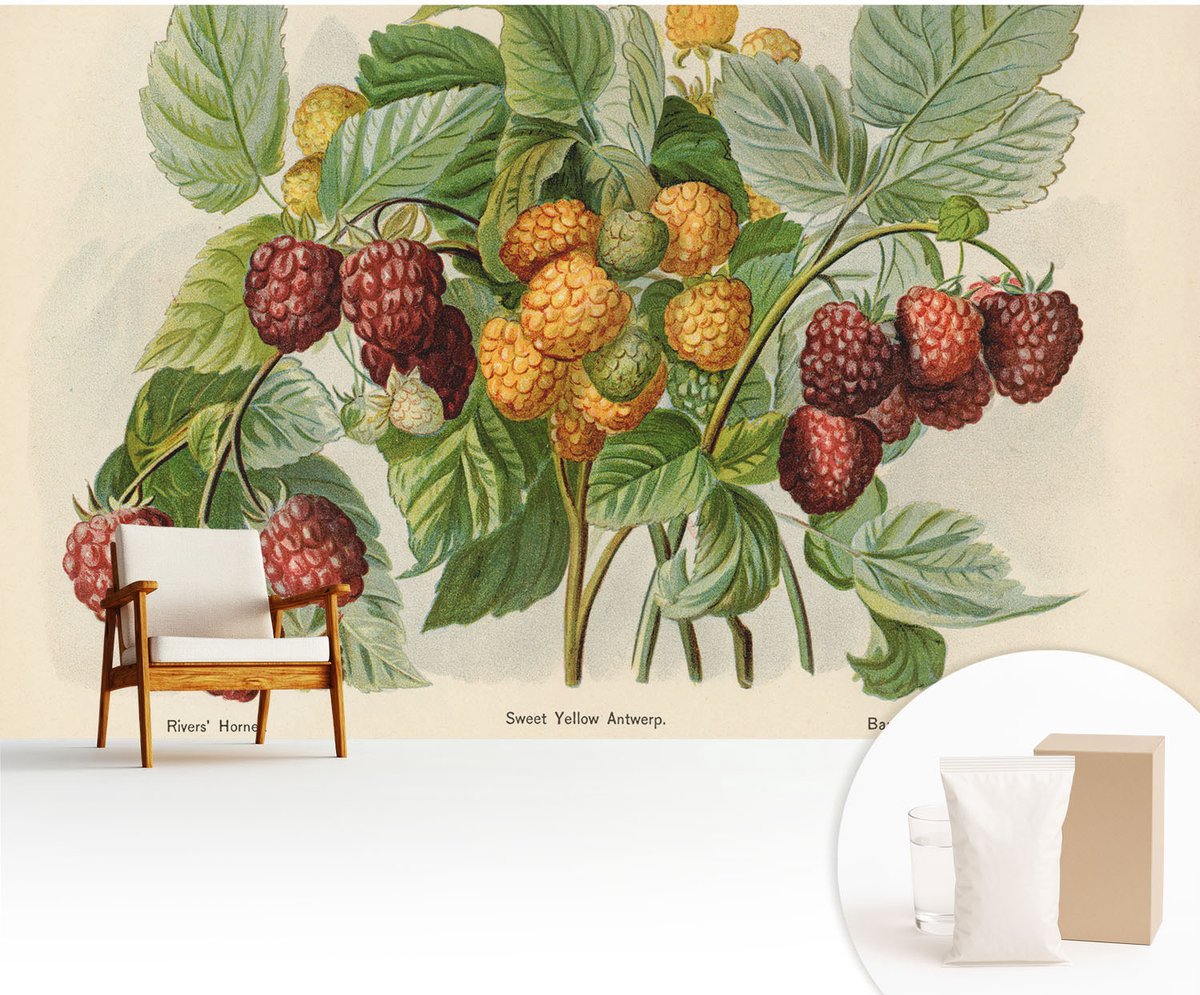 Wallfluent Fotobehang - Groente Vliesbehang - 416x254 cm - Klassieke Frambozen Fotobehang Vlies - Woonkamer behang Bloemen En Planten - Muurschildering - Woonkamer behang