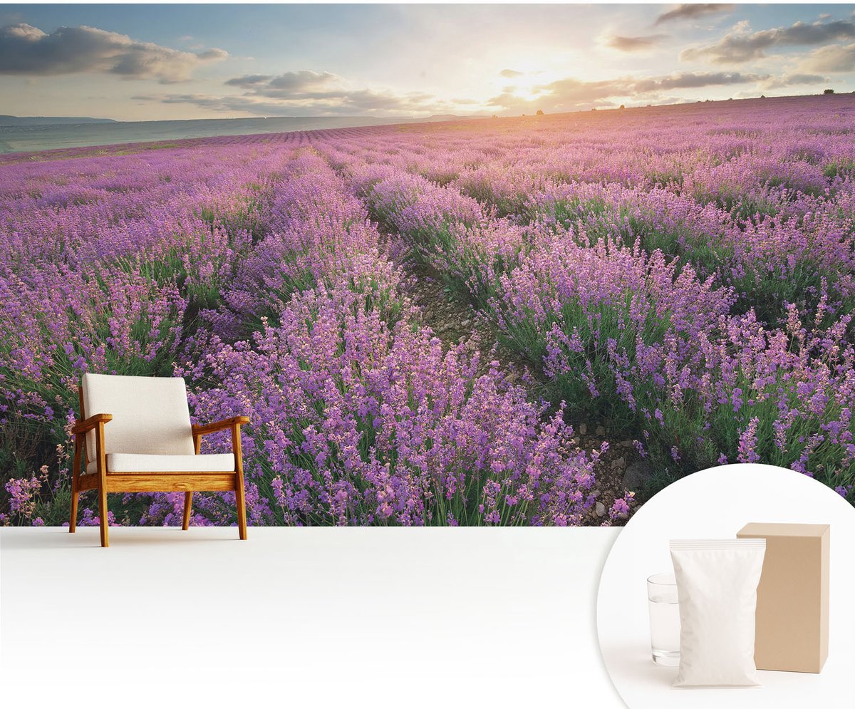 Wallfluent Fotobehang - Paars Vliesbehang - 416x254 cm - Lavendelvelden Fotobehang Vlies - Woonkamer behang Landschappen - Muurschildering - Hal behang
