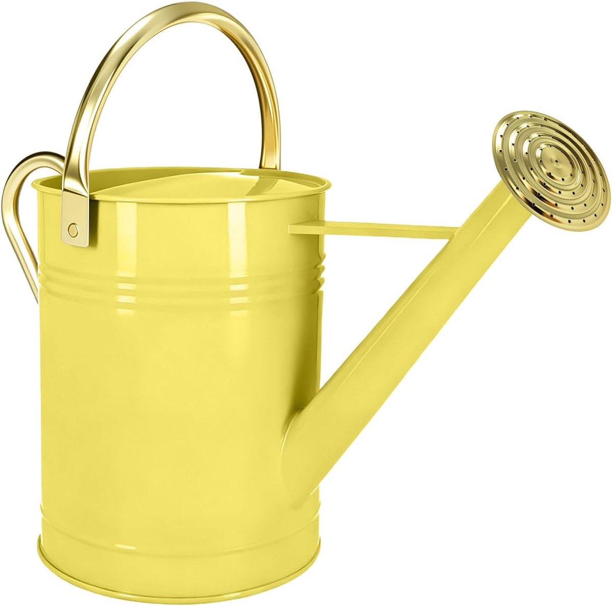 Gieter van 1,7 gallon, met een afneembare tuit en een verstelbaar handvat, geschikt voor kamerplanten, tuinplanten en bloemen