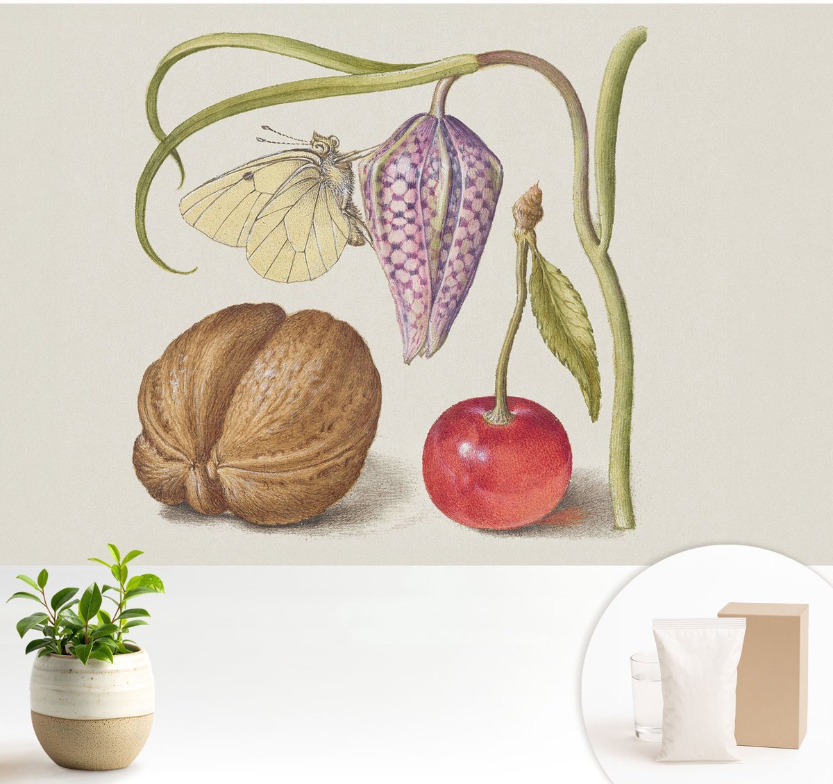 Wallfluent Fotobehang - Romig Vliesbehang - 104x70 cm - Vlinderplant Muurschildering - Gang behang Bloemen En Planten - Fotobehang Vlies - Gang behang