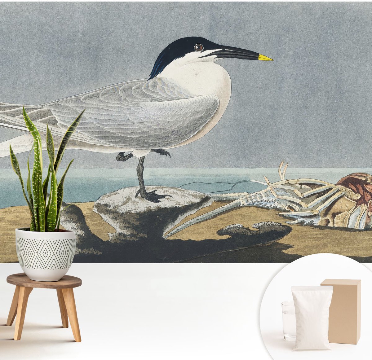 Wallfluent Fotobehang - Grijs Vliesbehang - 208x146 cm - Ornithologische Elegantie Muurschildering - Gang behang Dieren - Fotobehang Vlies - Slaapkamer behang