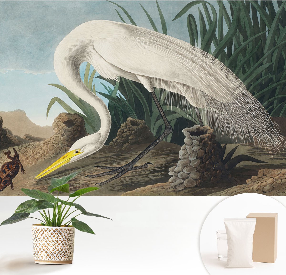 Wallfluent Fotobehang - Wit Vliesbehang - 152x104 cm - Majestueuze Reiger Fotobehang Vlies - Woonkamer behang Dieren - Muurschildering - Hal behang