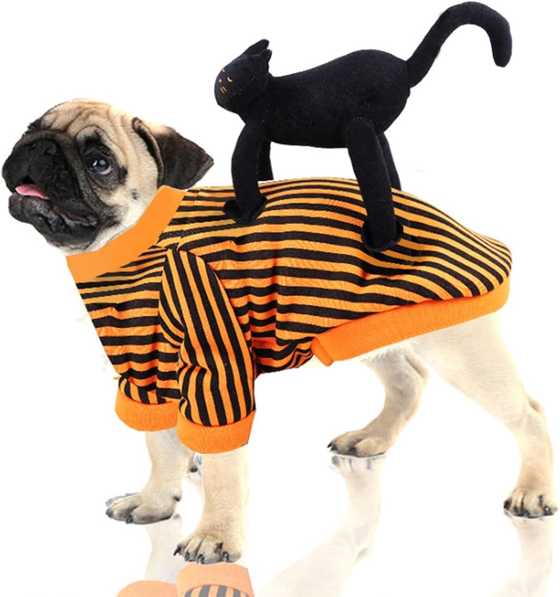 Grappige Halloween Kostuums voor Honden en Katten - Schattige Dierenkleding voor Feestjes en Evenementen, Geschikt voor Kleine Honden en Katten (XXL)