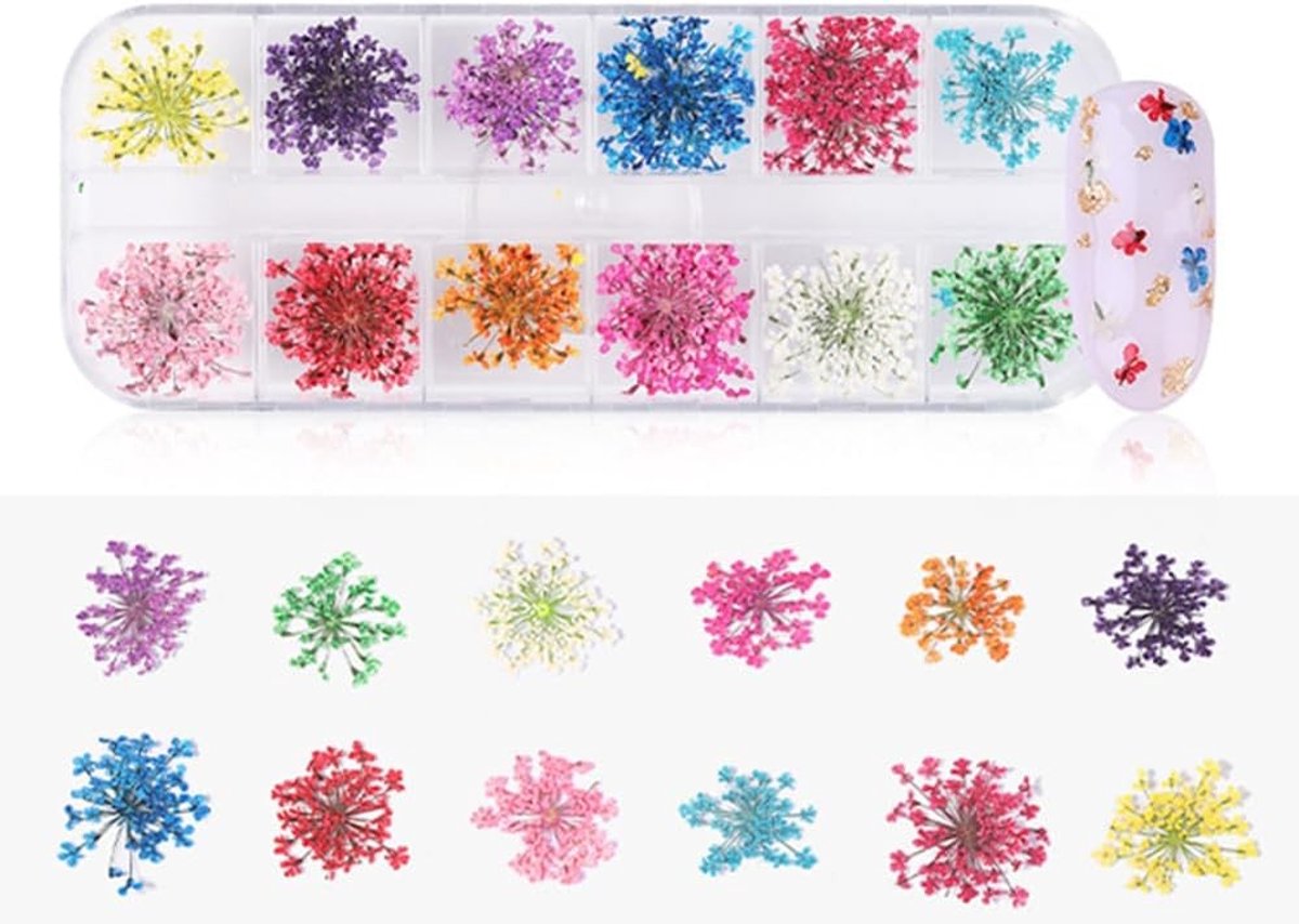 Kleurrijke Natuurlijke Droogbloemen voor Nageldecoratie - Zonnebloem Stickers voor Manicure DIY Kunst en Ambachten