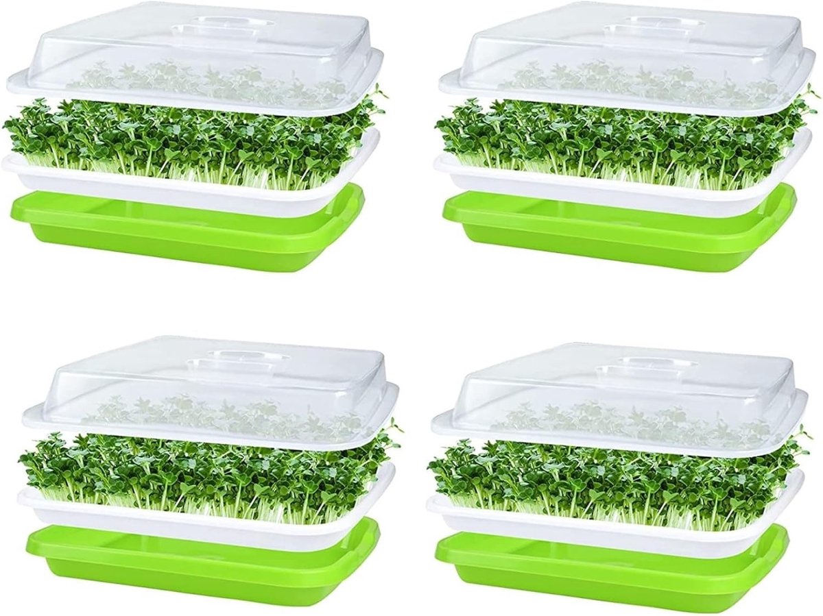 4 Stuks Zaadkiemingsschalen met Deksel, 32cm x 26cm, BPA-vrij, Ideaal voor Hydroponics, Kiemen van Mungbonen, Alfalfa en Tarwegras met 24 Stuks Plantpapier