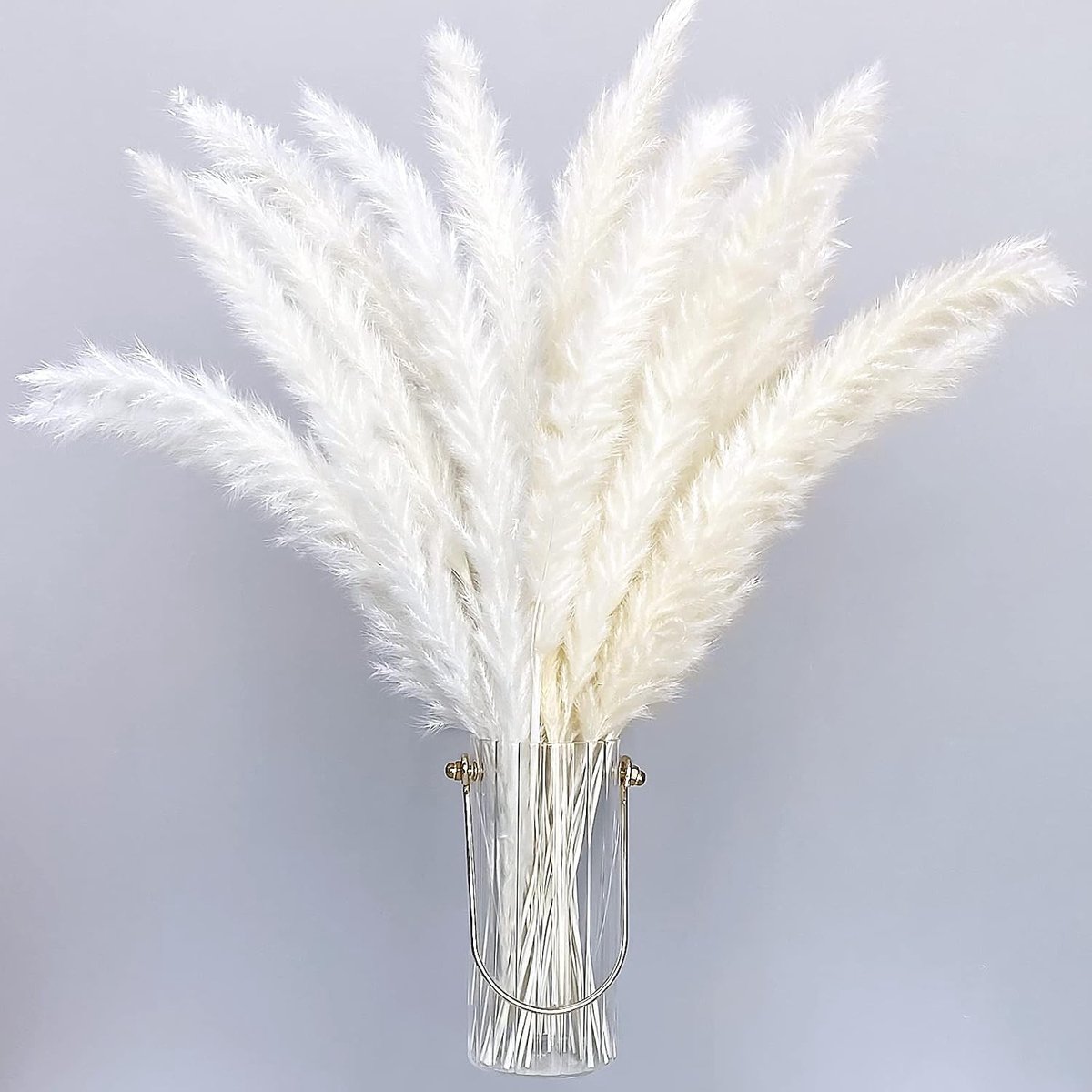 Natuurlijke Gedroogde Pampas Grassen 30 Stuks 40cm - Boho Huisdecoratie, Phragmites Communis, Bloemen voor Vazen en Bruiloften