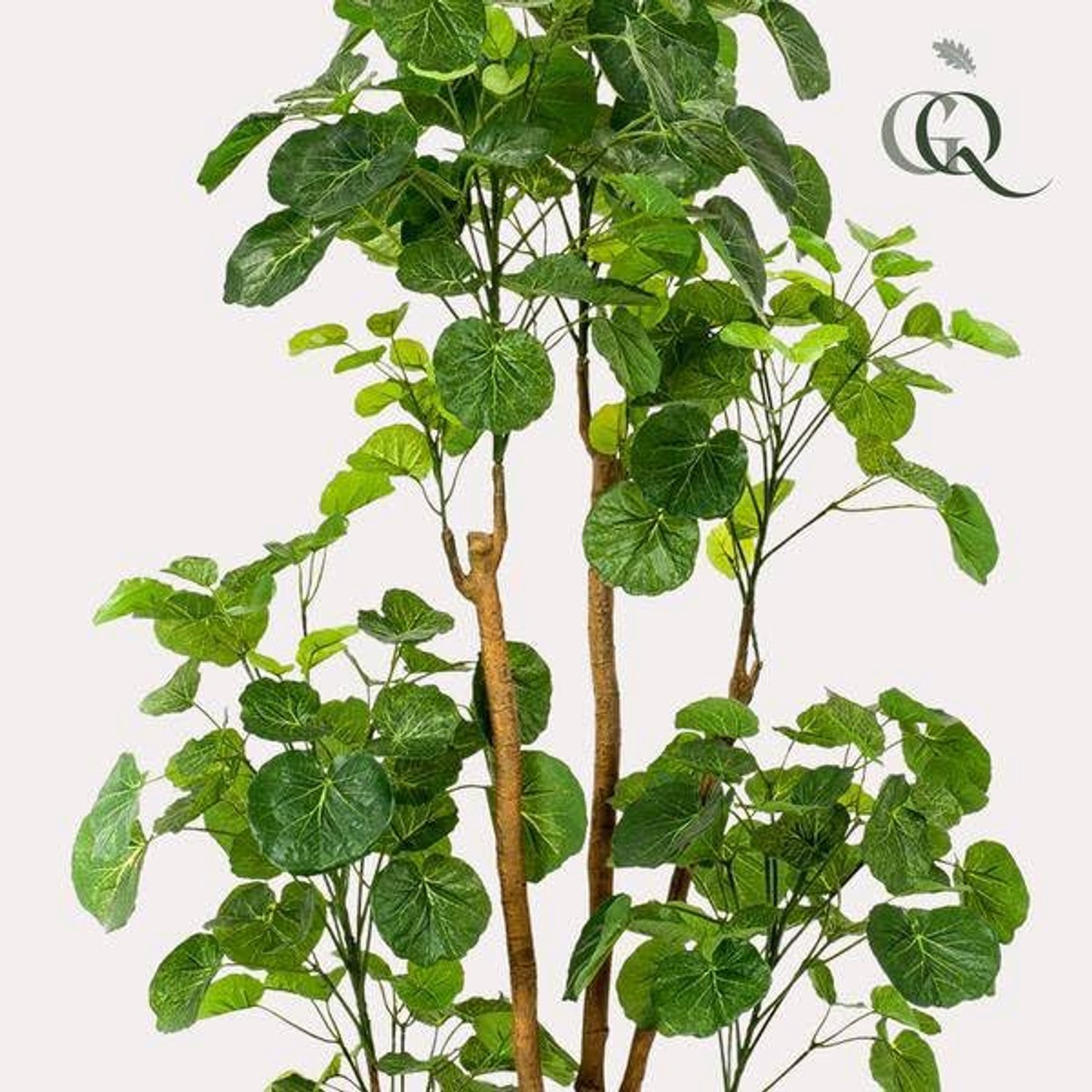 Kunstplant Aralia 160 cm met Natuurgetrouwe Bladeren