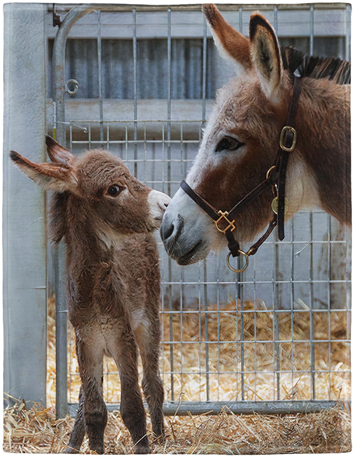 Donkey Foal Cuddly Blanket voor Baby's en Kinderen