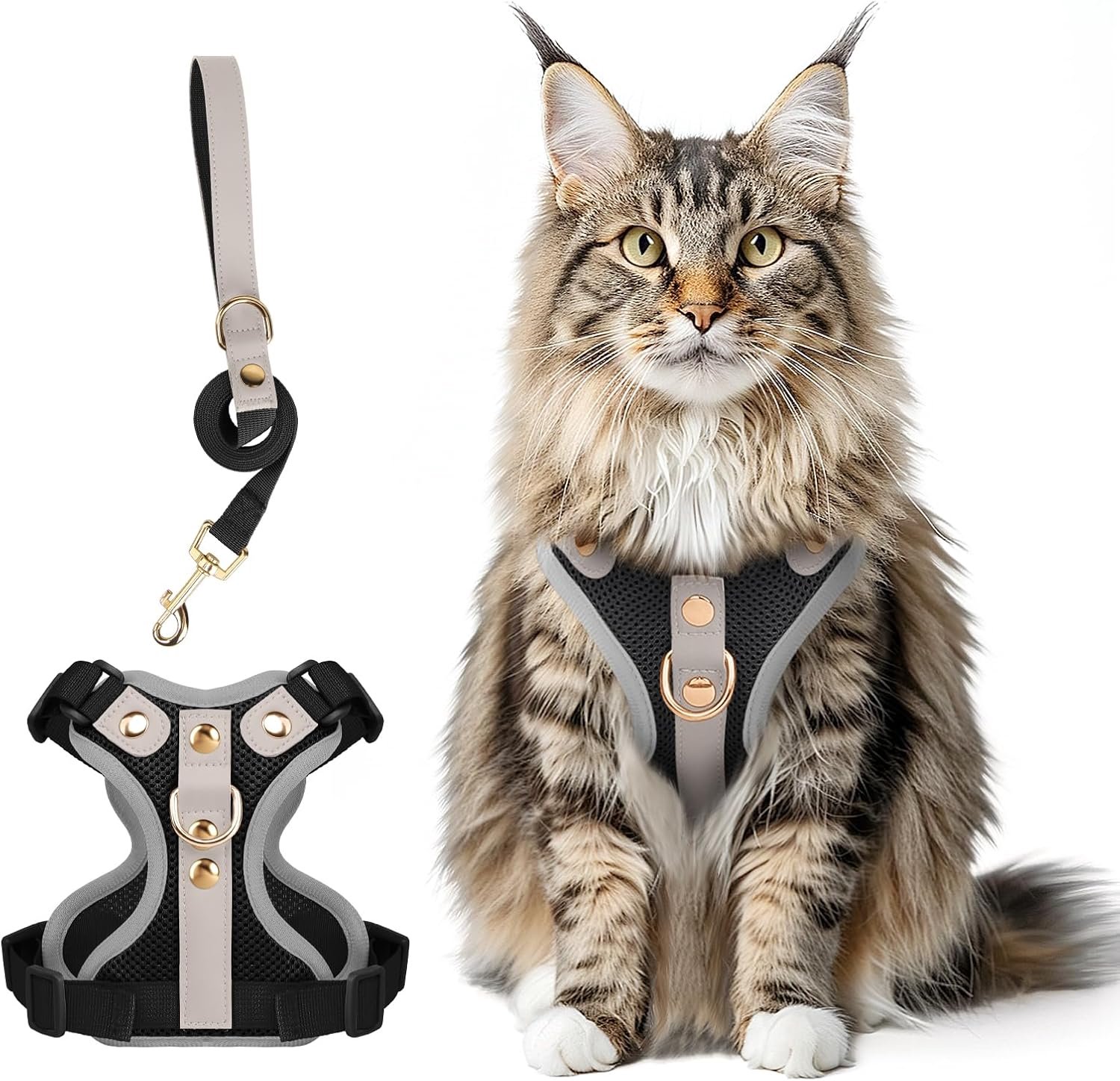 Kattenharnas met lijn, lederen vest, zwart, L