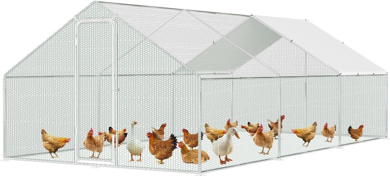 3 x 8 x 2 m kippenhok, vrijloophok, metalen buitenhok, kippenkooi voor kleine dieren, voliere met dakzeil, huisdierenhok voor kippen, gevogelte, kleine dieren