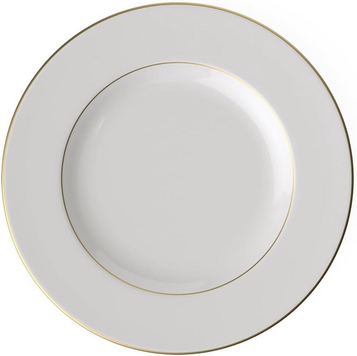 Elegante platte borden 27cm handgeschilderde gouden rand