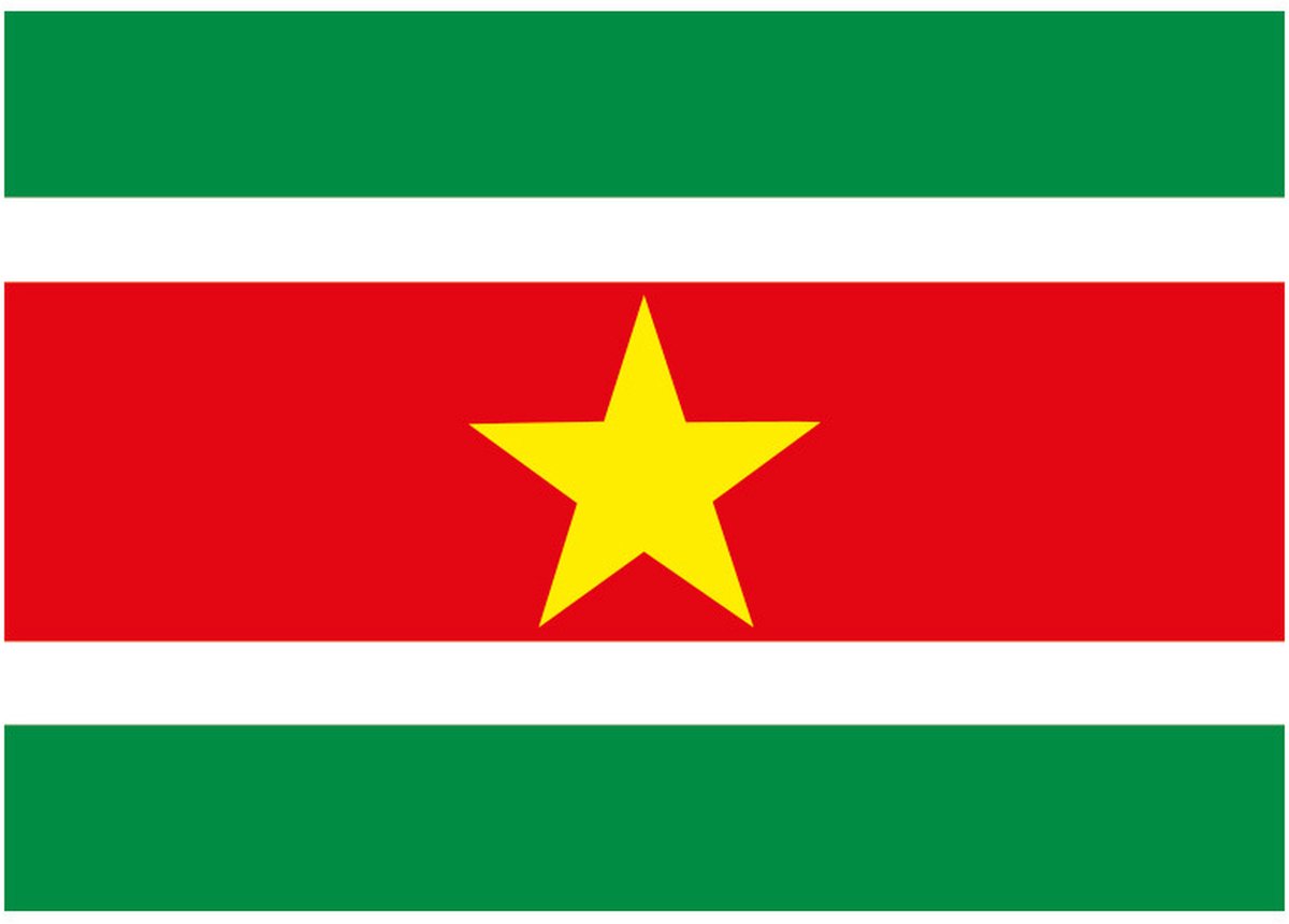 Vlag van Suriname stickers - 10x - 7.5 x 10 cm - Binnen/buiten - voor supporters