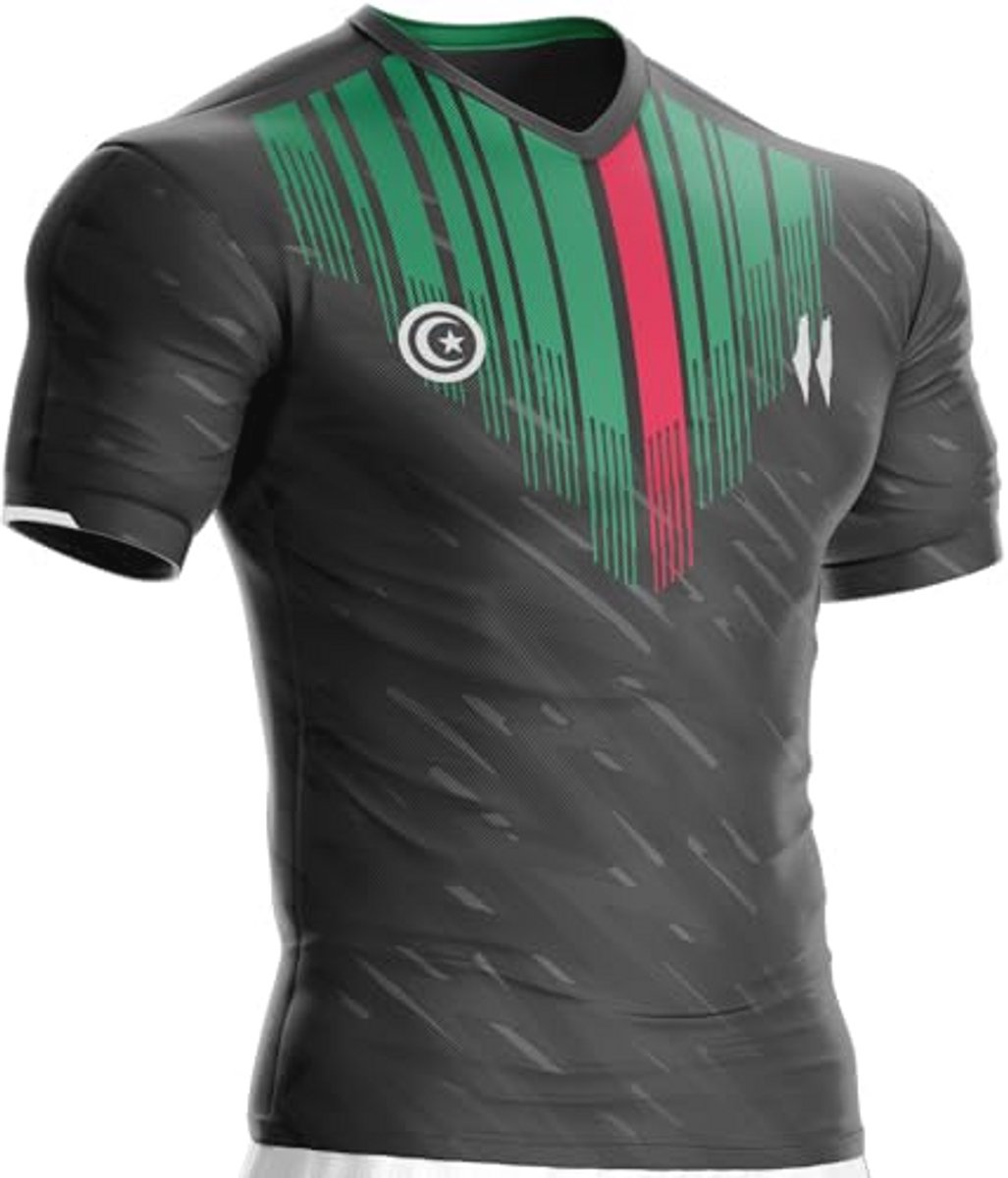 Palestina voetbalshirt voor heren en uniseks, cultuur en stijl, vlag ontwerp