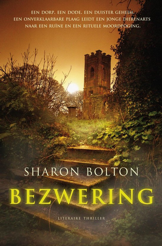 Bezwering - cover