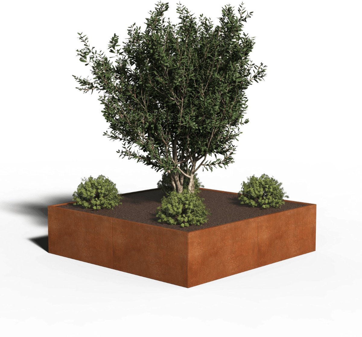 Cortenstaal Plantenbak Vierkant | 240 x 240 x 40 | Zonder bodem