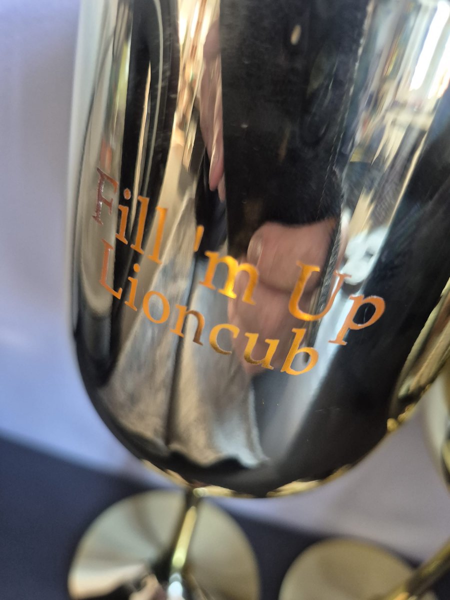Eviva Home Deco Luxe Wijnglazen Set van 2 - Goud - Met Tekst "Wine Not? ROARRR!" & "Fill 'em Up Lioncub"