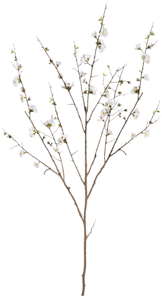 PTMD Kunstbloem Kersen - 81x79x137 cm - Polyester - Wit