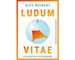 Ludum Vitae - Systemische Positionierung
