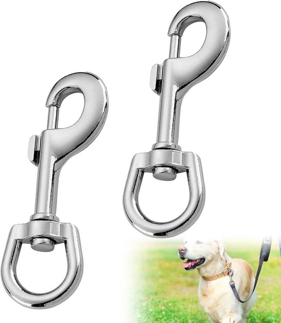 TEHAUX Roestvrijstalen Sleutelhanger Carabiner Clip - Sterke Haak Voor Sleutels, Tassen En Riemen