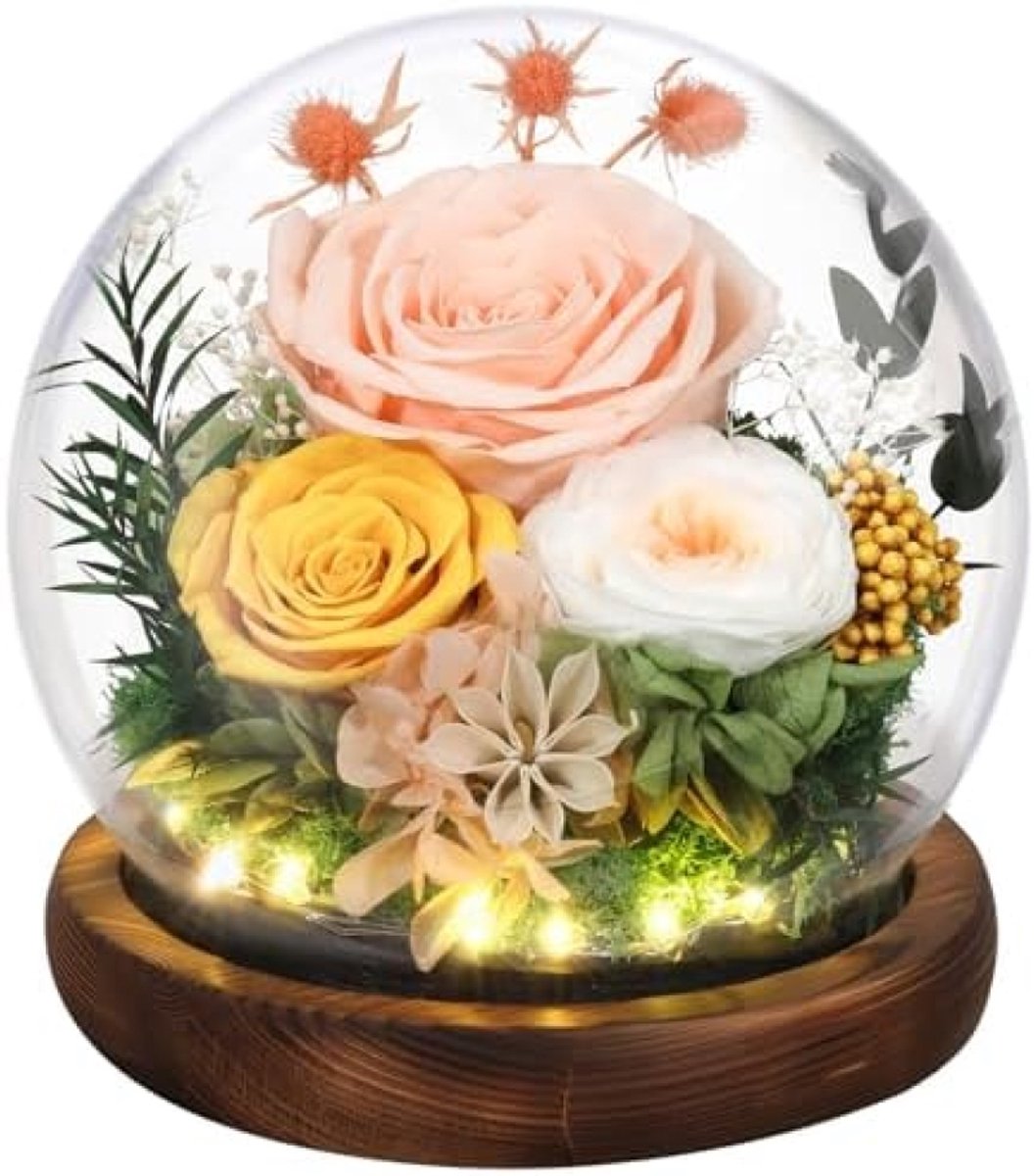 Eeuwige roos in glazen stolp met LED-verlichting - Decoratief geschenk