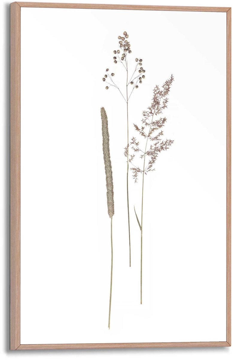 REINDERS Schilderij Dried Flowers - 30 x 20 - Hout - REINDERS Beige Hout
