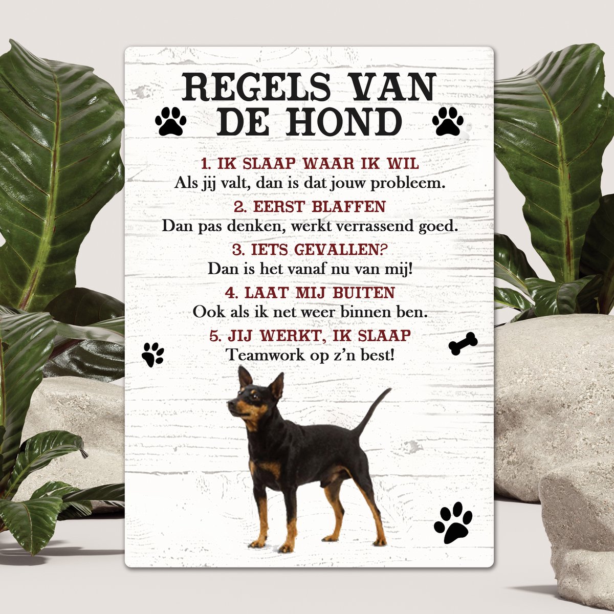 Spreuken - Dwergpincher - Regels Van De Hond - Spreuken Bordjes - Spreukenbord - Tekstborden - Cadeau - Hondenras
