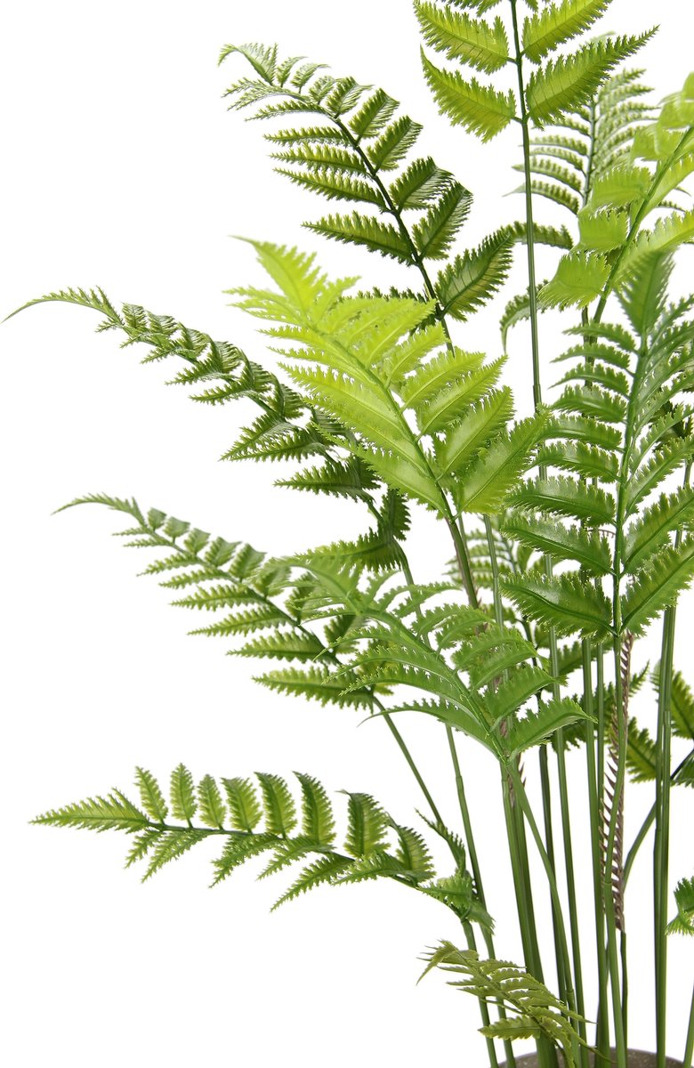 Unyqoos Natuurgetrouwe kunstvaren in pot voor stijlvolle groene decoratie, groente, 90cm