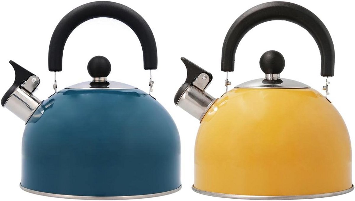 RVS Waterkoker 2 Liter - Geschikt voor Inductie en Gas