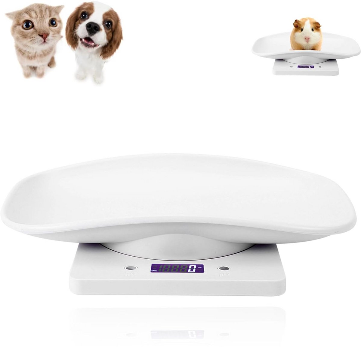 Digitale Mini Huisdier Weegschaal 10kg/1g voor Puppy Kat, LCD Display