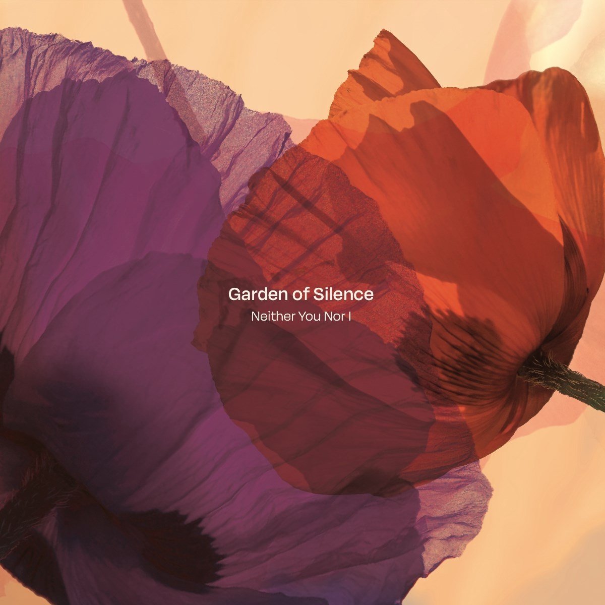 Garden Of Silence - Neither You Nor I (CD)