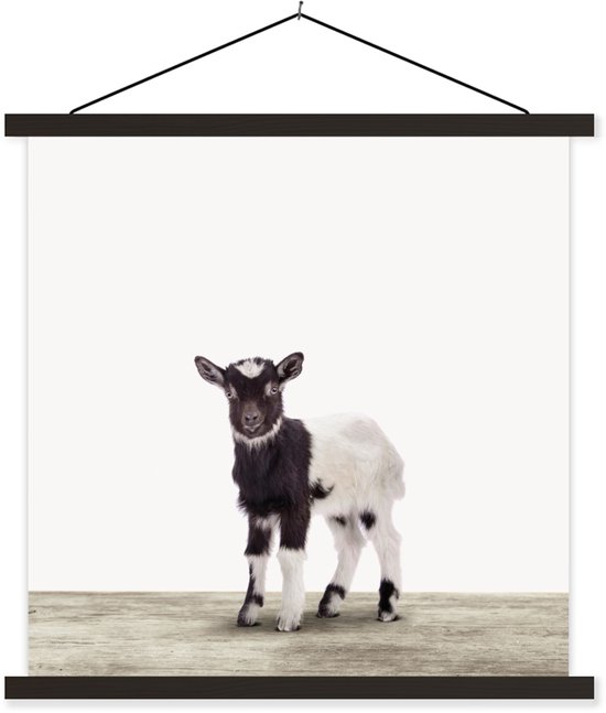 Porte-affiche avec affiche - Affiche scolaire - Chèvre - Animaux - Enfants - Garçons - Filles - 60x60 cm - Lattes noires