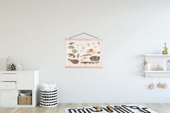 Affiche scolaire - Animaux aquatiques marins - Vintage - Illustration - 60x45 cm - Lattes vierges