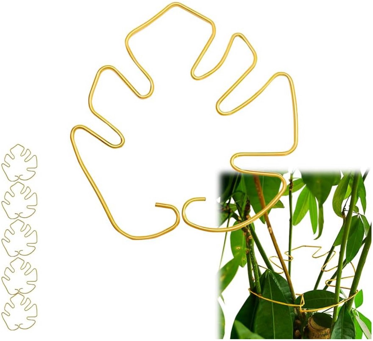 QTTVBTNA - Plantensteun - Plantenring - Stabiele Steun voor Klimplanten - Geschikt voor Binnen- en Buitenpotten - Bevorder plantengroei - Goud - 18x16 cm - 5 Stuks