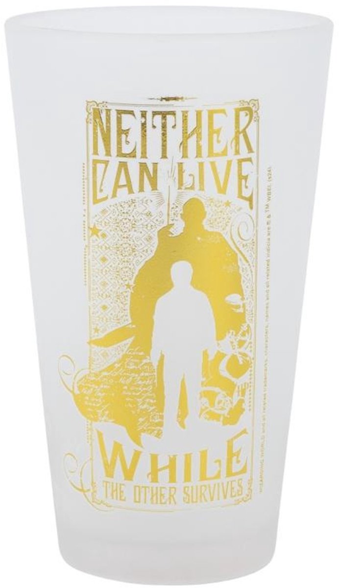 Harry Potter glazen 2 stuks 480ml