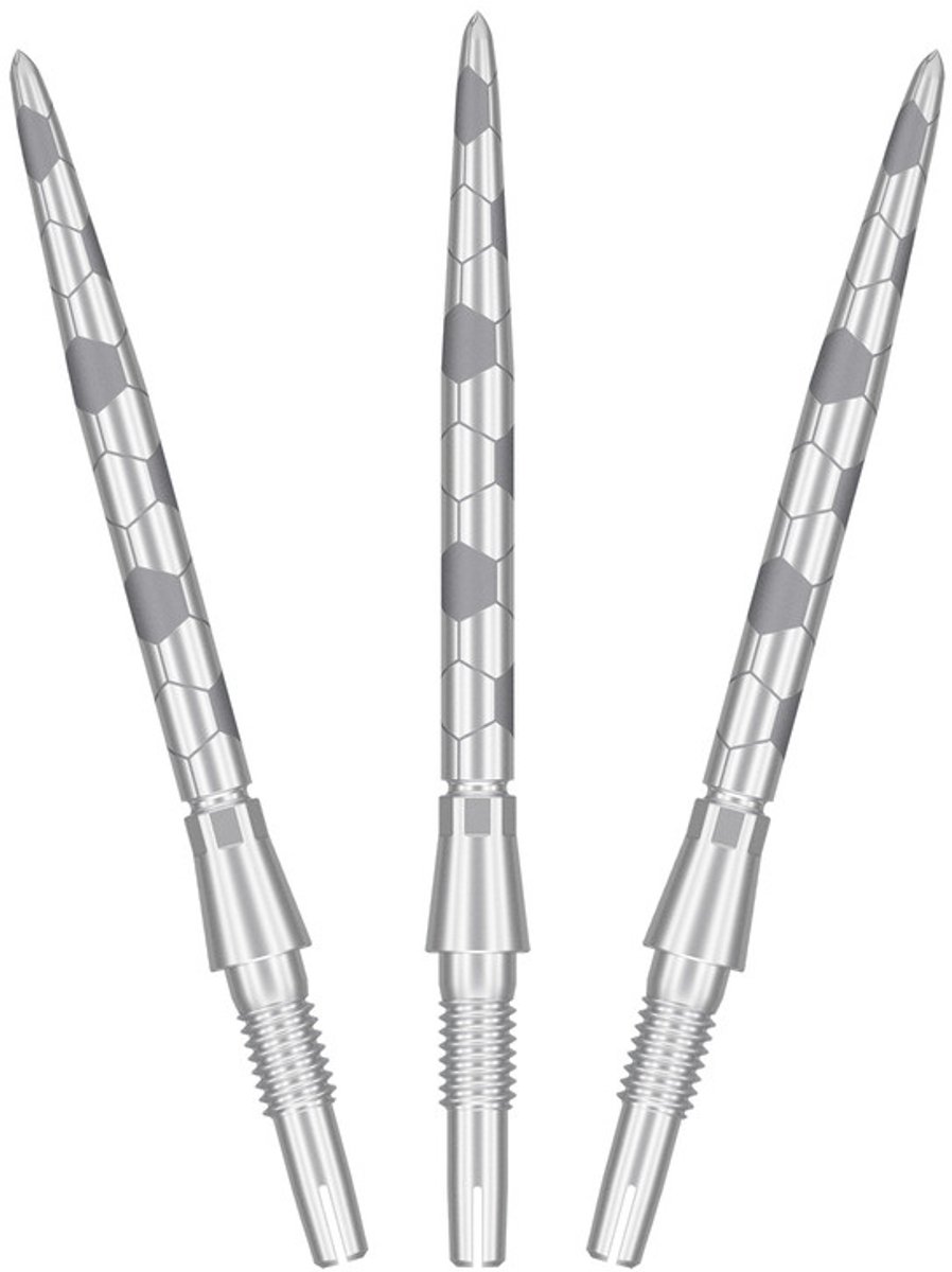 Target Swiss Points Storm Onyx Silver 30 mm