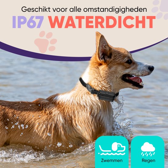 RobustRise X3 Pro - Anti Blafband voor Honden - Trainingshalsband - Geluid & Vibratie - Waterdicht