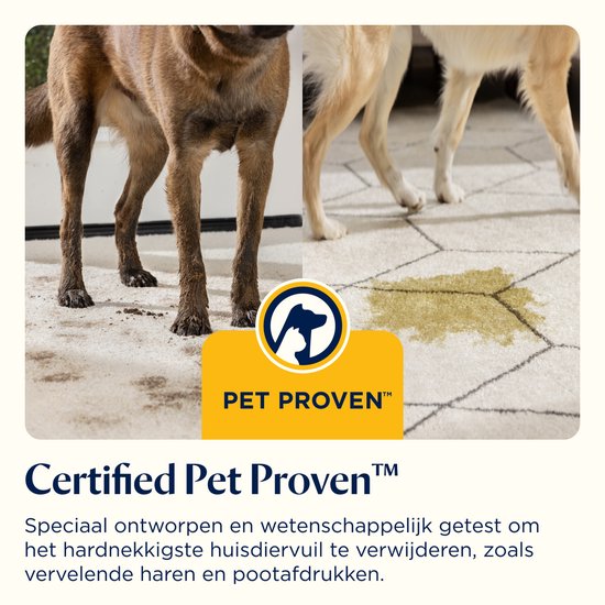 Twee honden op een tapijt met vlekken, met een "PET PROVEN" logo.