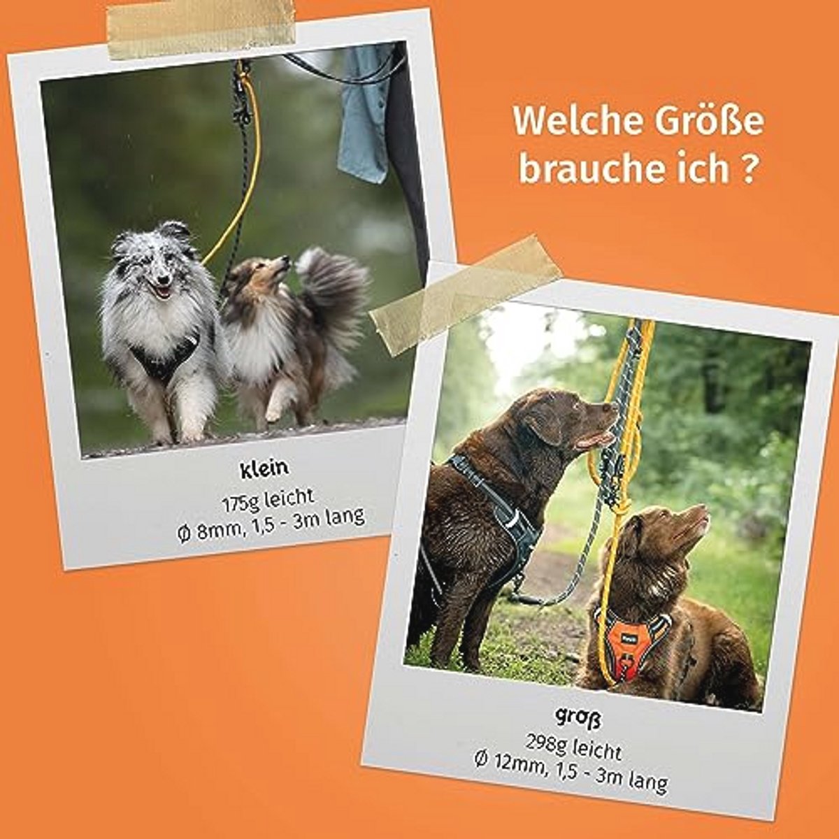 Verstelbare hondenriem 3 m voor kleine en middelgrote honden - Robuuste en stijlvolle touwlijn voor outdoor avonturen