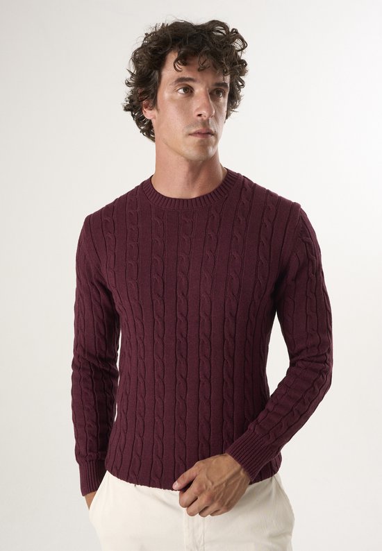 Pull bordeaux à torsades et col rond, porté par un homme.